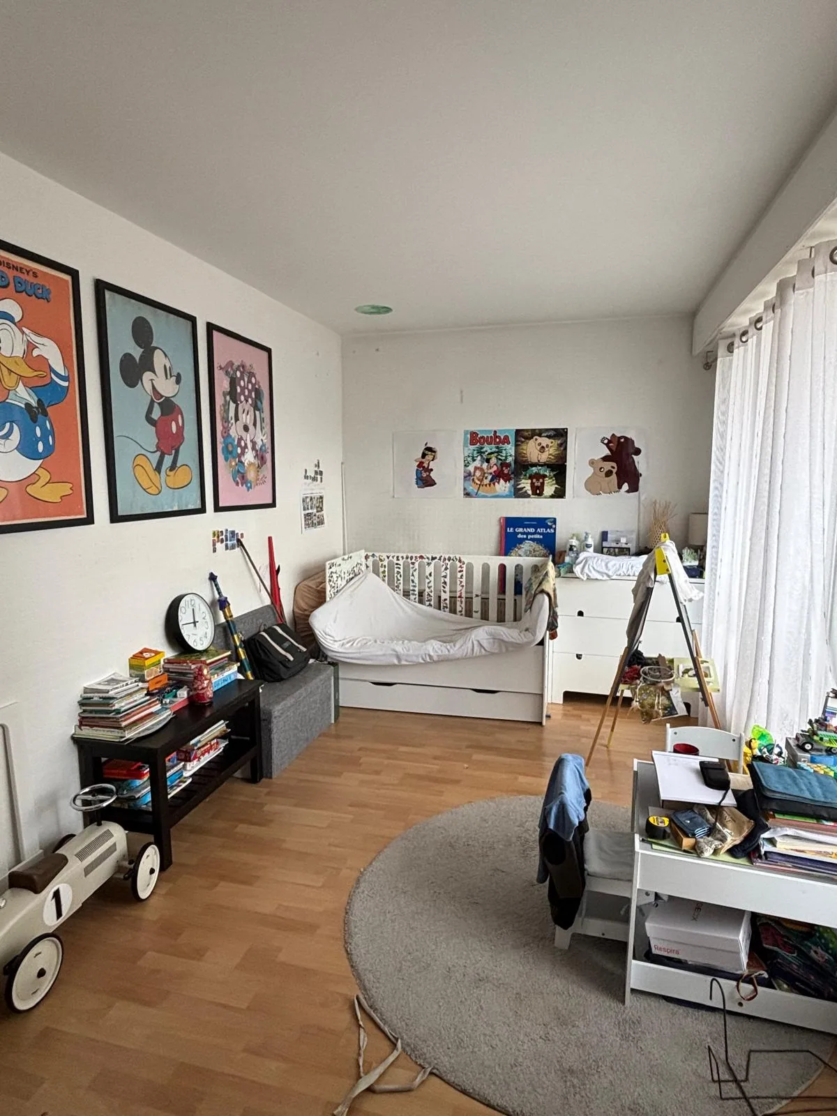 Projet Leonardo, vue 6